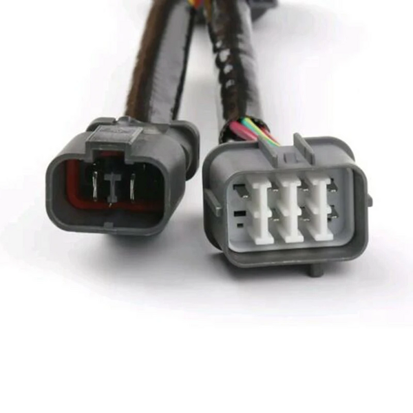 File:Dizzy Plug OBD1.png